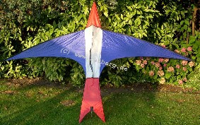 Feuervogel - selbst gebaut